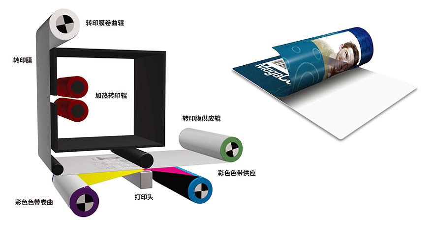 金百博·(中国区)有限公司官网