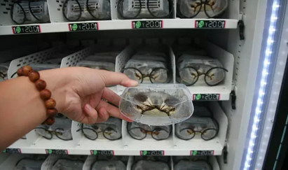 金百博·(中国区)有限公司官网