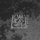 金百博·(中国区)有限公司官网